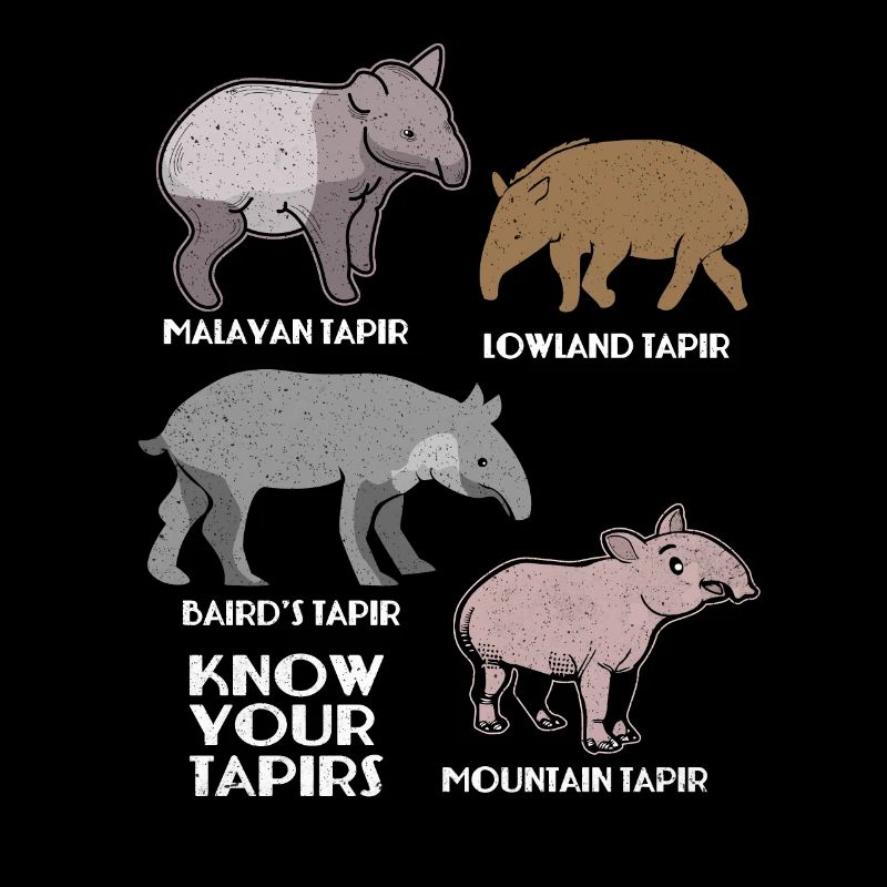 Tapir
