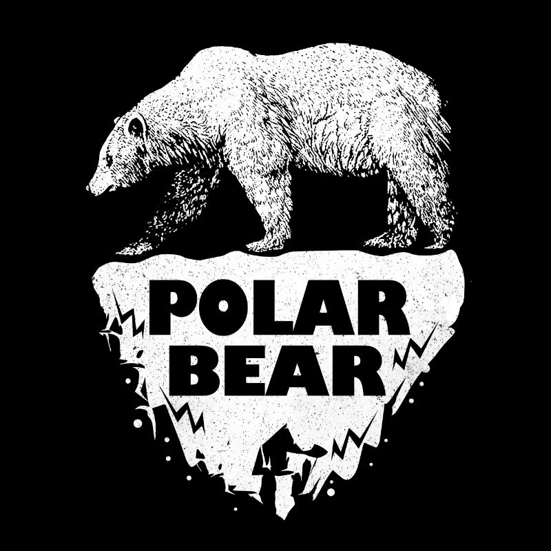 Ours polaire