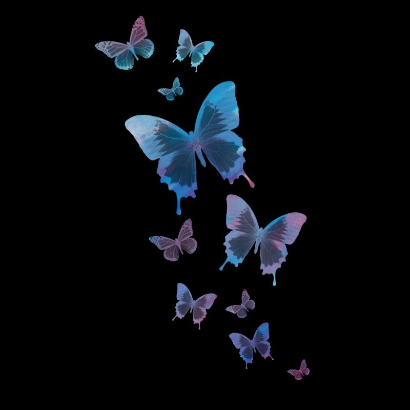 papillon papillon animal coloré couleur
