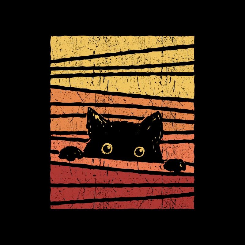 Black cat