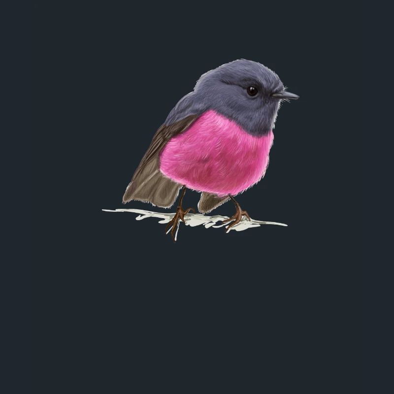 coole Vogel Pink Robin Geschenkidee