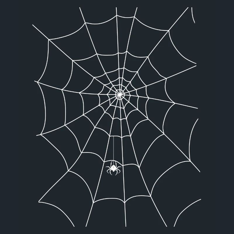Spider web, spider, spider in the web