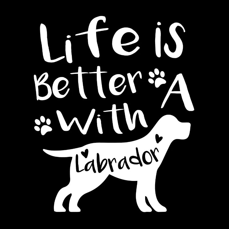 Life with labrador