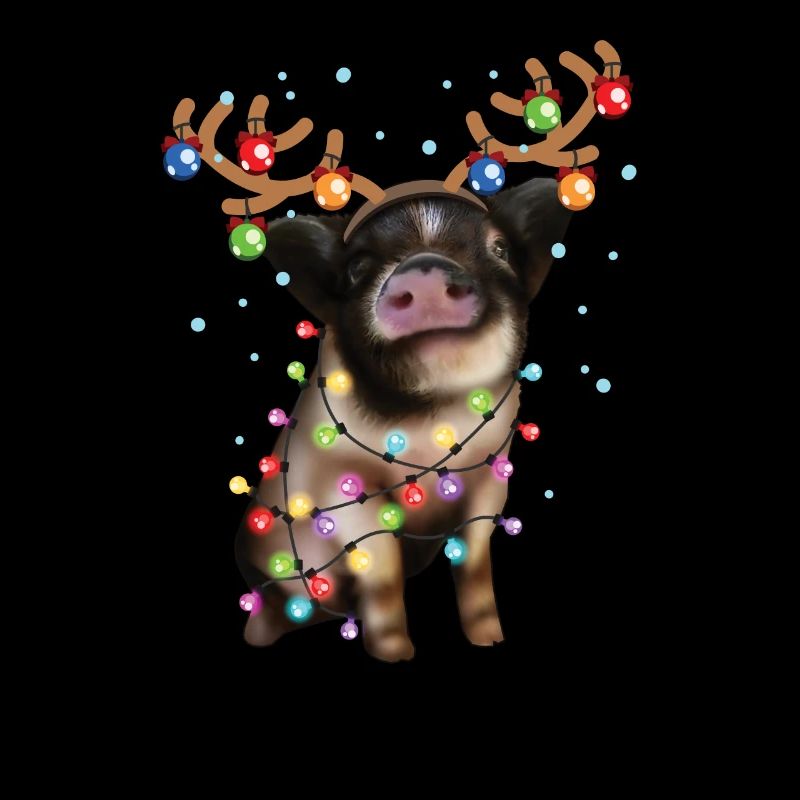 Cochon de Noël - Cochon de Noël mignon