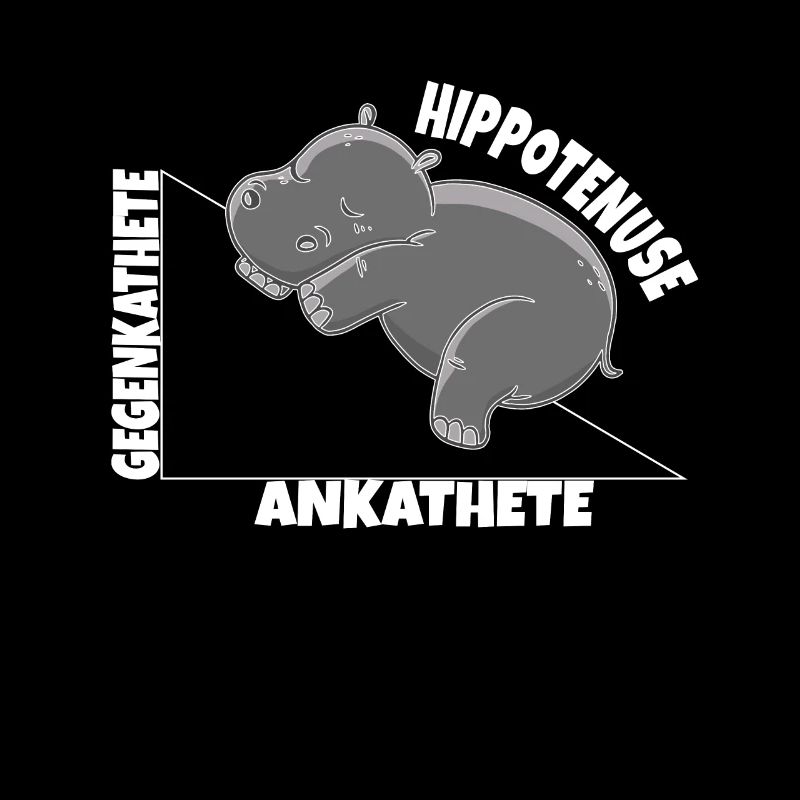 Hippo Mathe Hippotenuse Winkelfunktion Hypotenuse