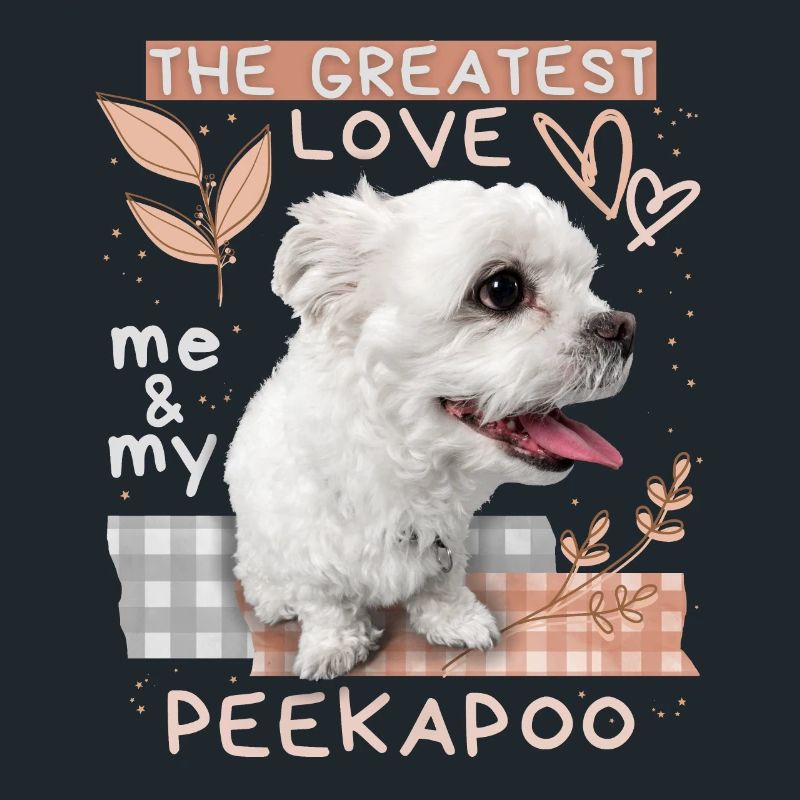 Peekapoo, chien, dicton drôle