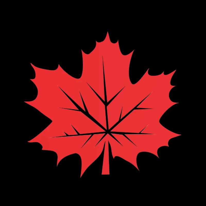 Feuille d’érable Feuille Canada Arbre