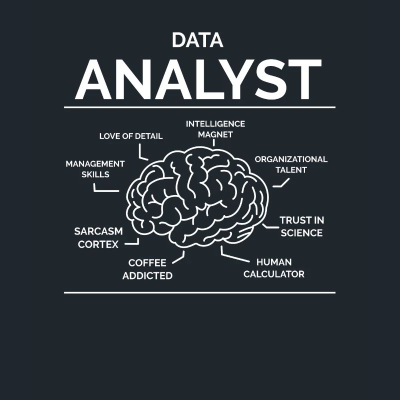 Data Analyst