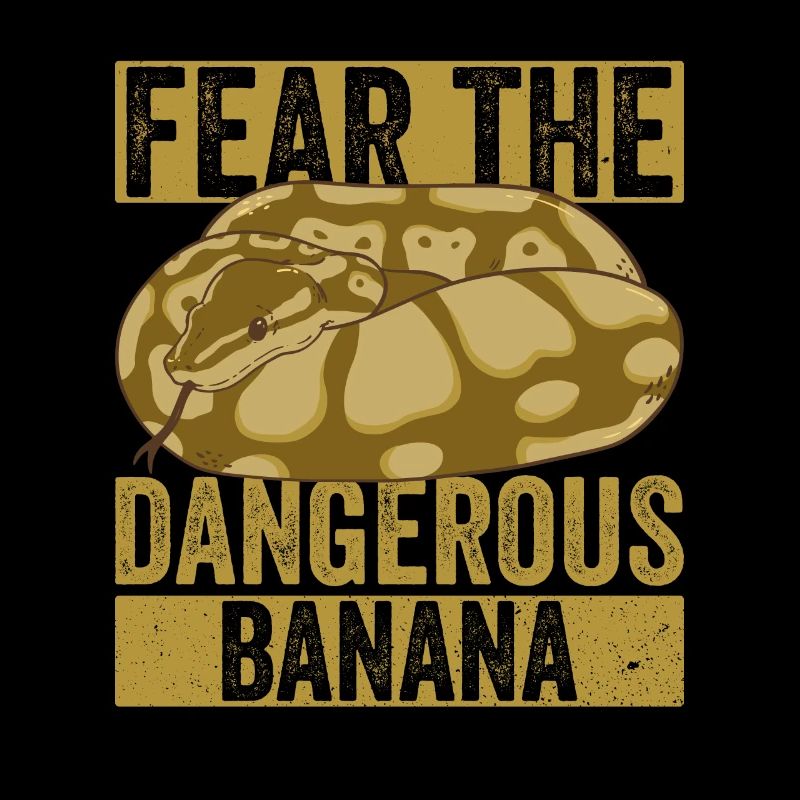 Banana Königspython