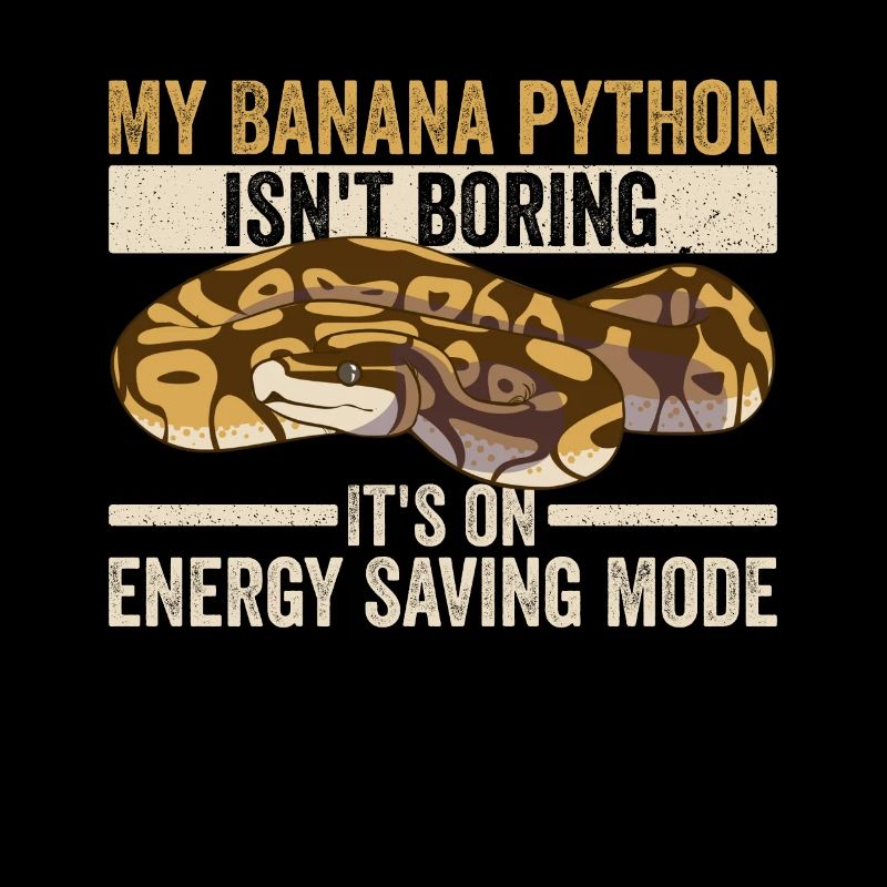 Königspython Für Banana Königspython Besitzer