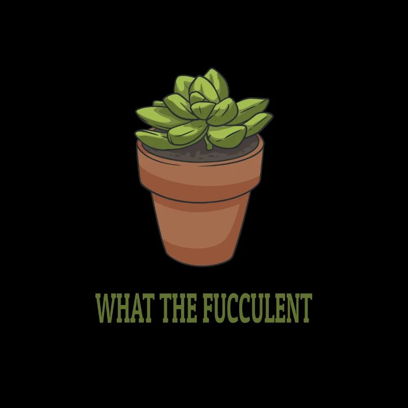 Plantes succulentes