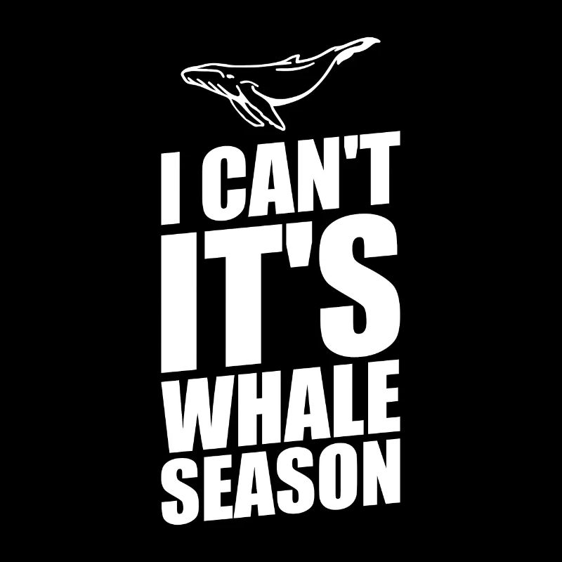 Un observateur de baleines dit que les baleines aiment les baleines à bosse