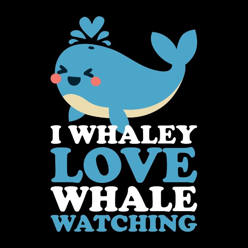 Un observateur de baleines dit que les baleines aiment les baleines à bosse