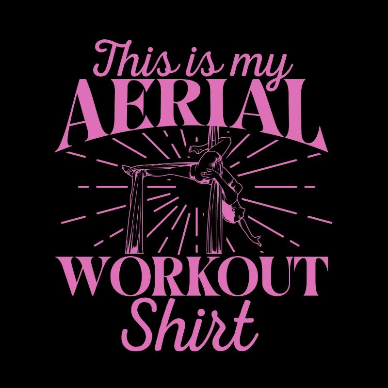 Aerial Silk Workout