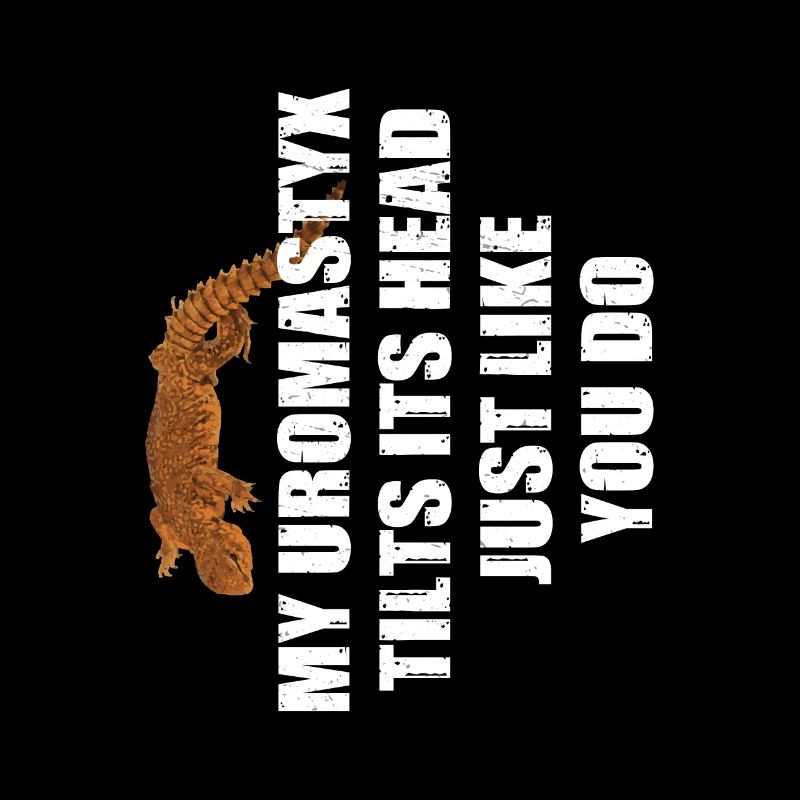Uromastyx Tilts Its Head Just Like You Do Funny