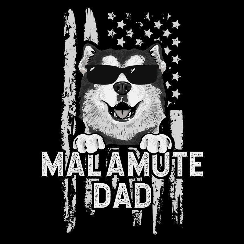 Chien Malamute d’Alaska