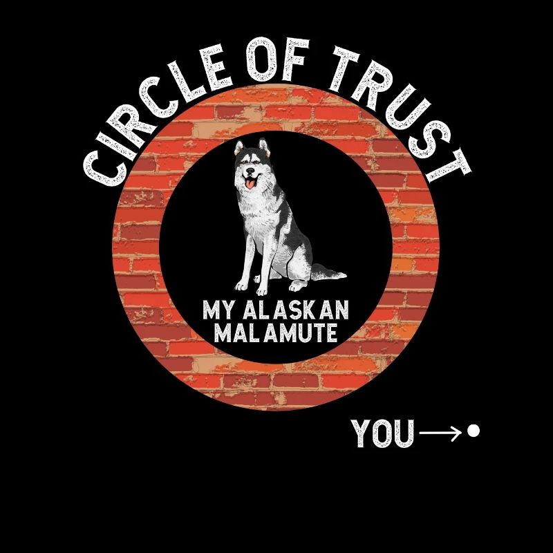 Chien Malamute d’Alaska