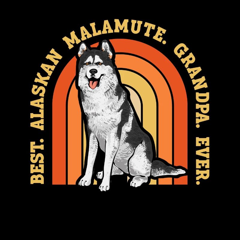 Chien Malamute d’Alaska