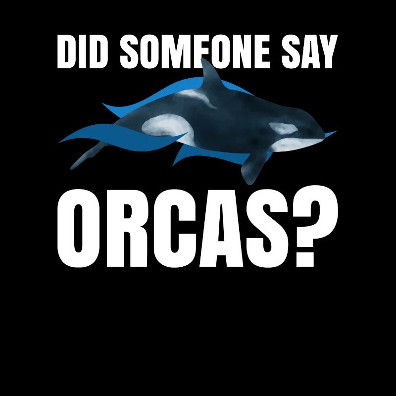 Orca Watching Und Whale Watching Cetecean Whale