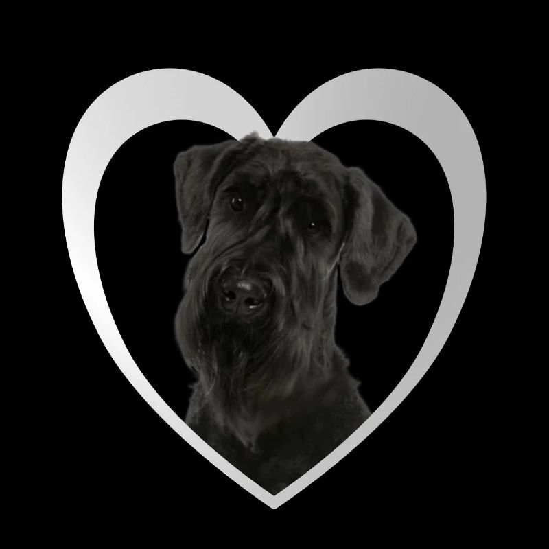 Cœur de Schnauzer géant - J’aime le Schnauzer géant