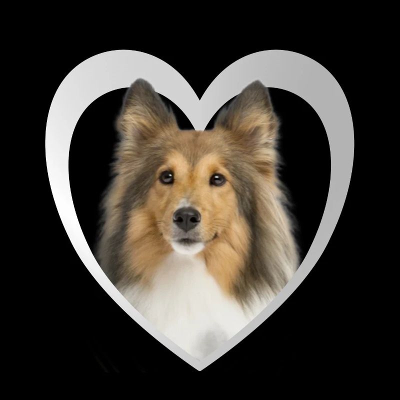 Sheltie - Hundeliebhaber - Hunde Herz