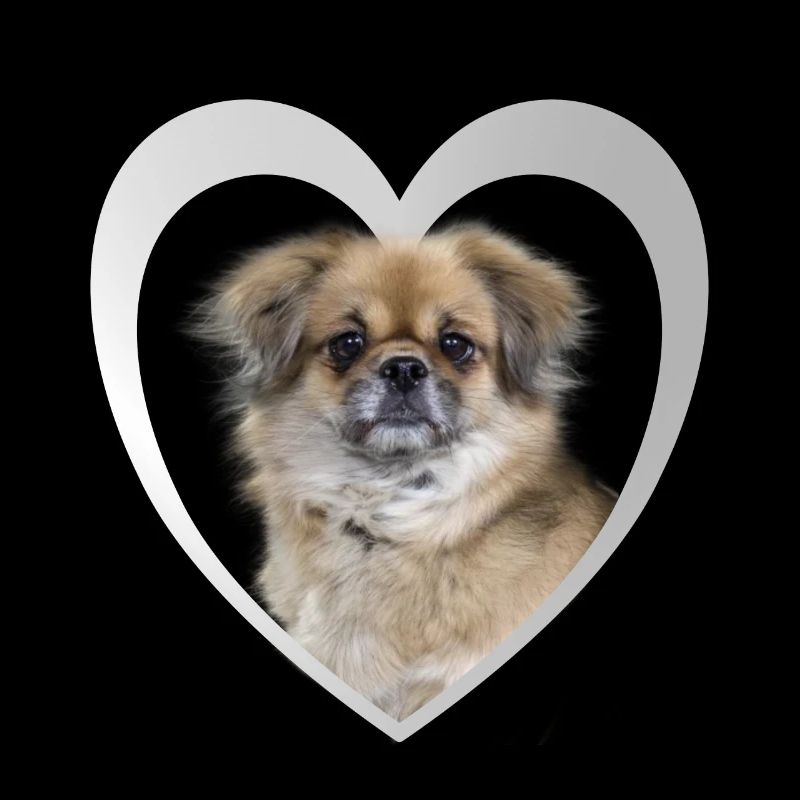 Tibet Spaniel Heart - J’aime Tibet Spaniel