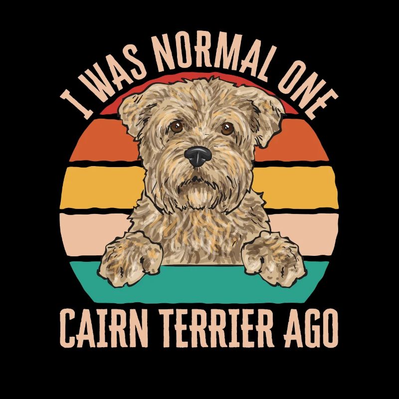 Cairn Terrier Chien