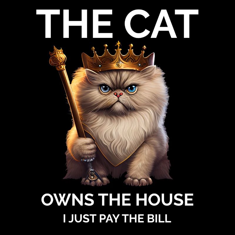 Le chat possède la maison Persian Cat Queen