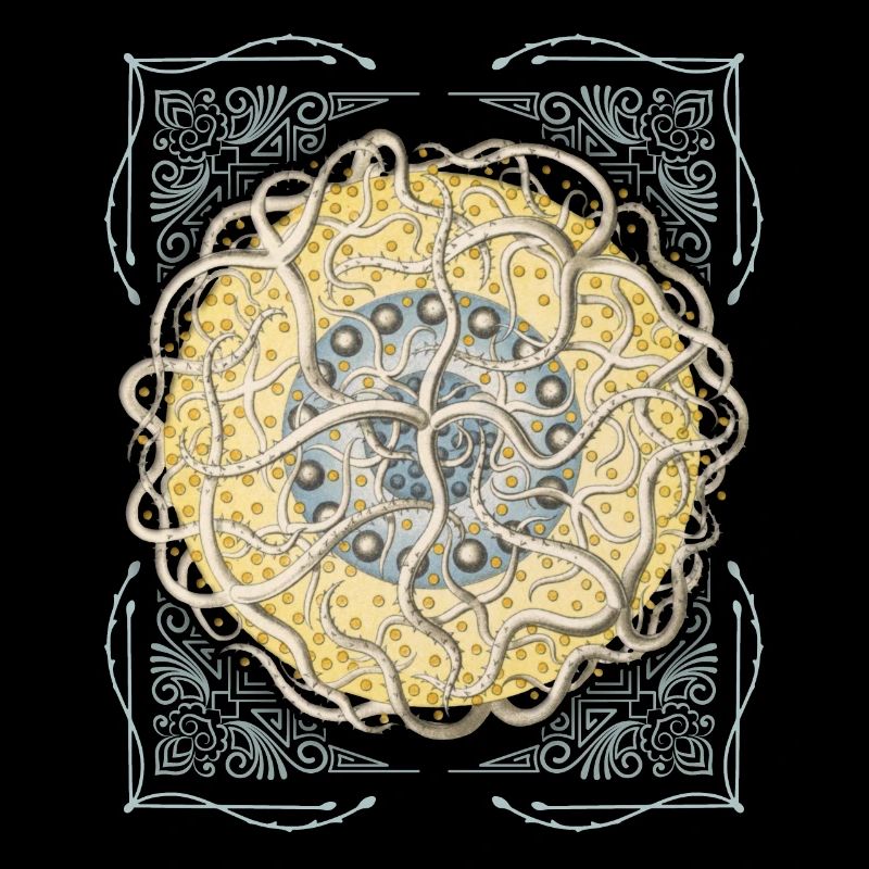 Vintage Botanical Starfish, Mandala Starfish