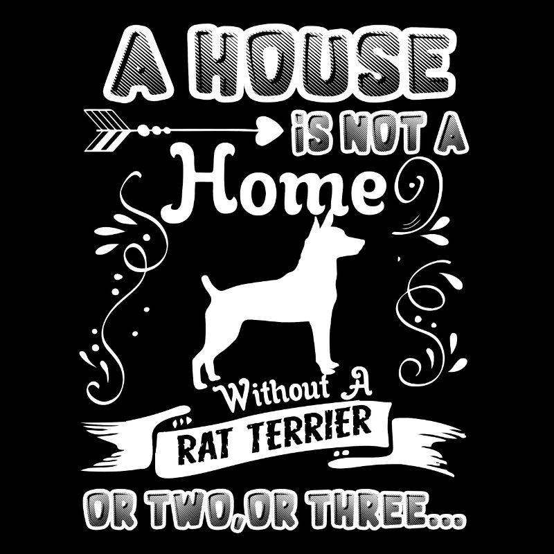 Rat Terrier Home Without Rat Terrier