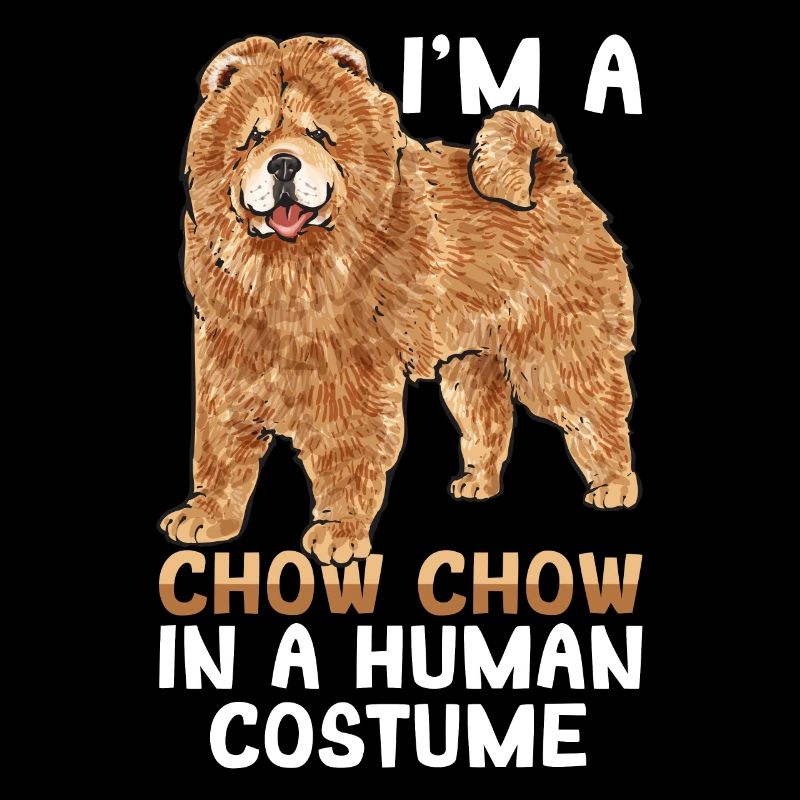 Chow Chow Chien