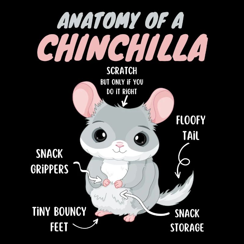 Anatomie einer Chinchilla