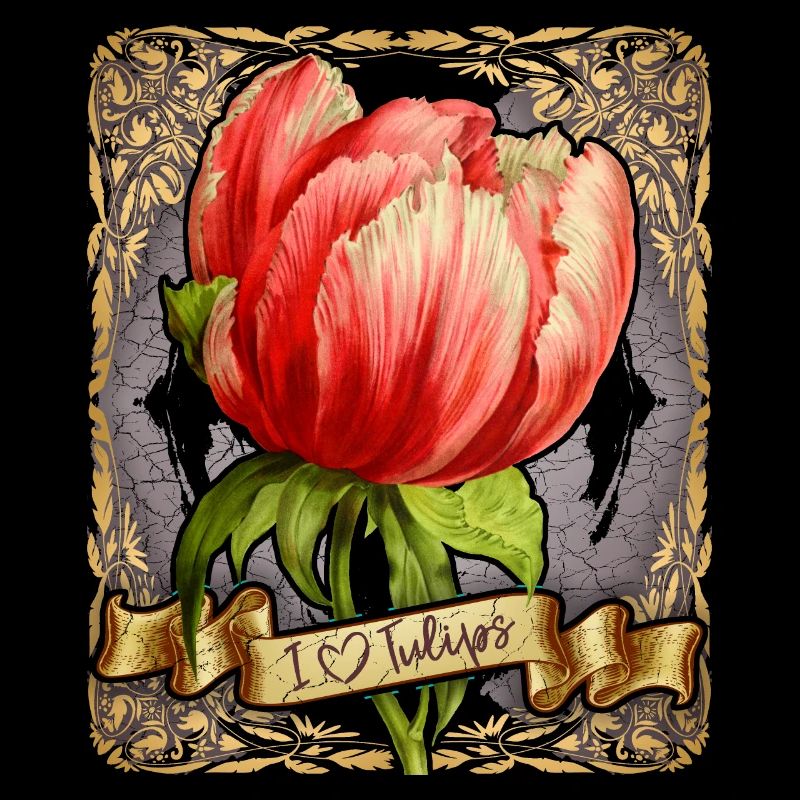 Tulipe vintage, illustration de fleurs botaniques
