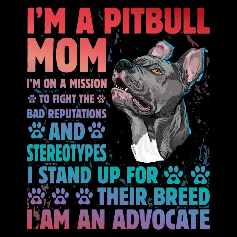 Pitbull drôle de dicton