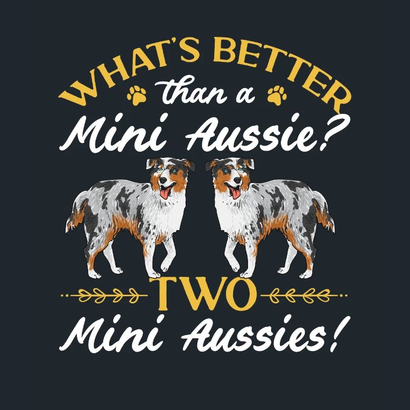 Miniature Australian Shepherd