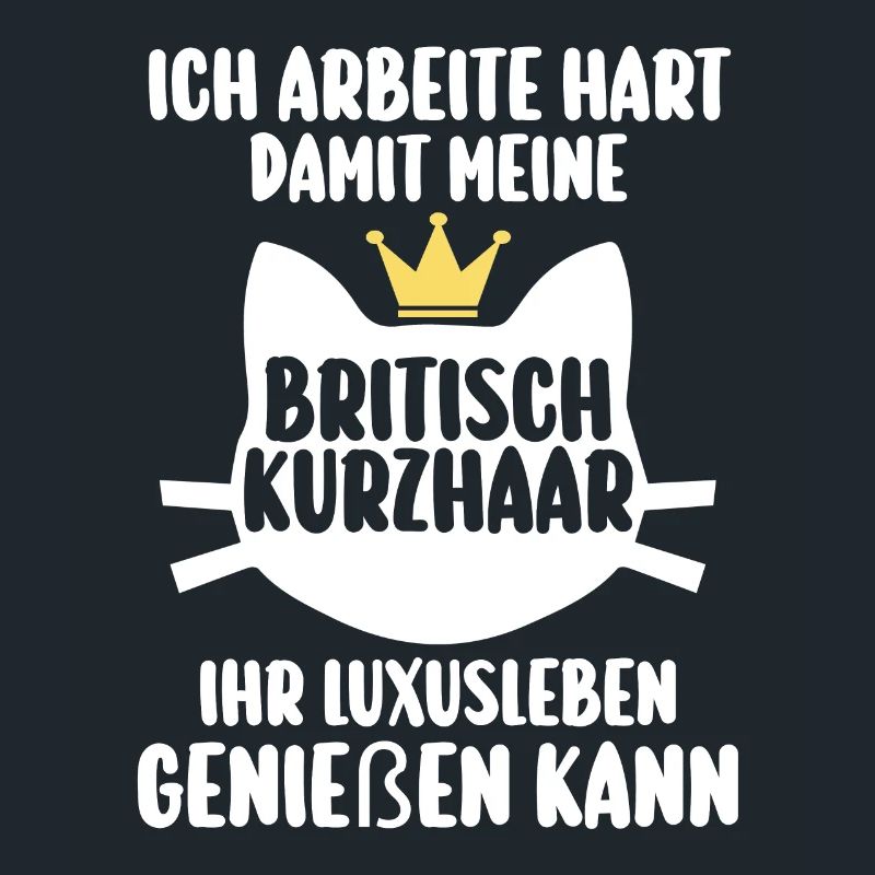 Britisch Kurzhaar Katze