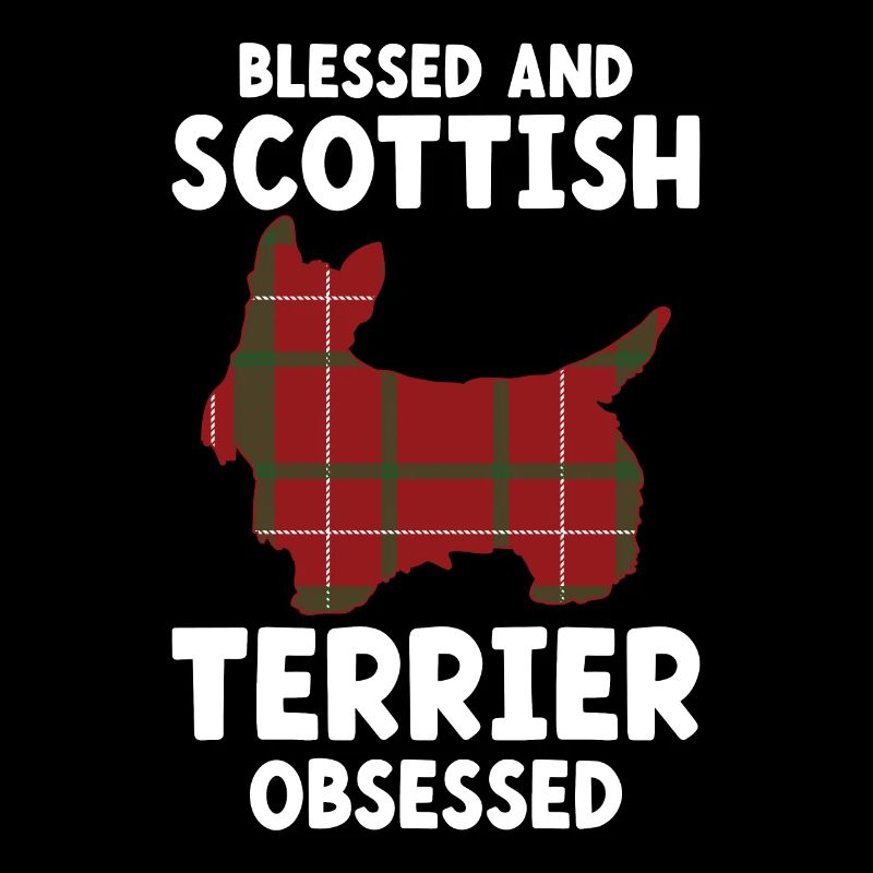 Scottish Terrier Scottie Hund