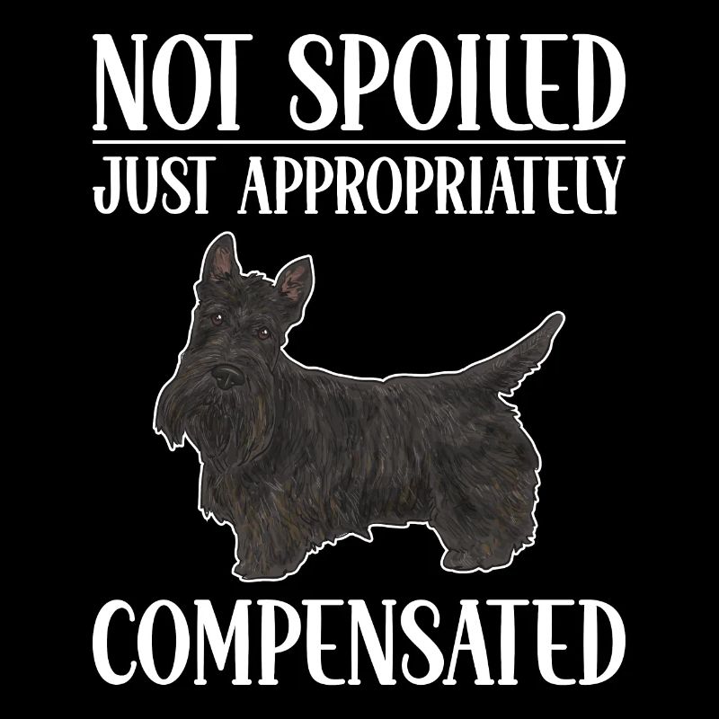 Scottish Terrier Scottie Hund