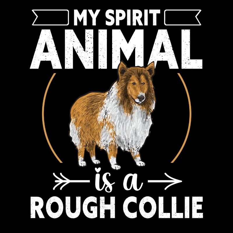 Longhair Collie Rough Collie Dog