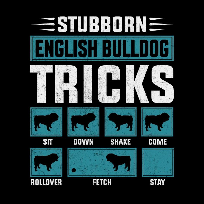 Astuces de bouledogue anglais têtus