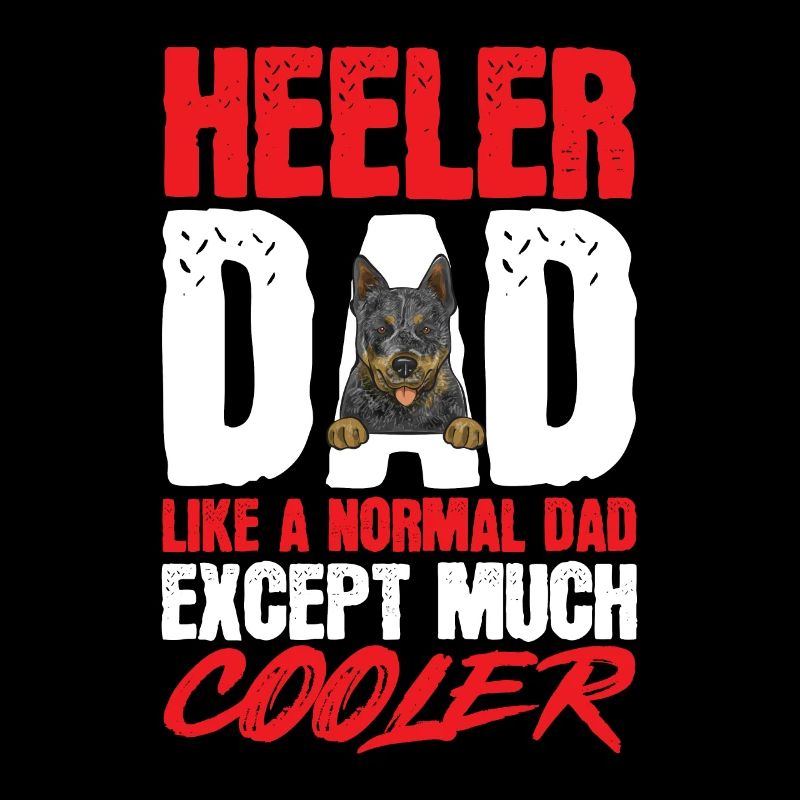 Bouvier australien Red Blue Heeler