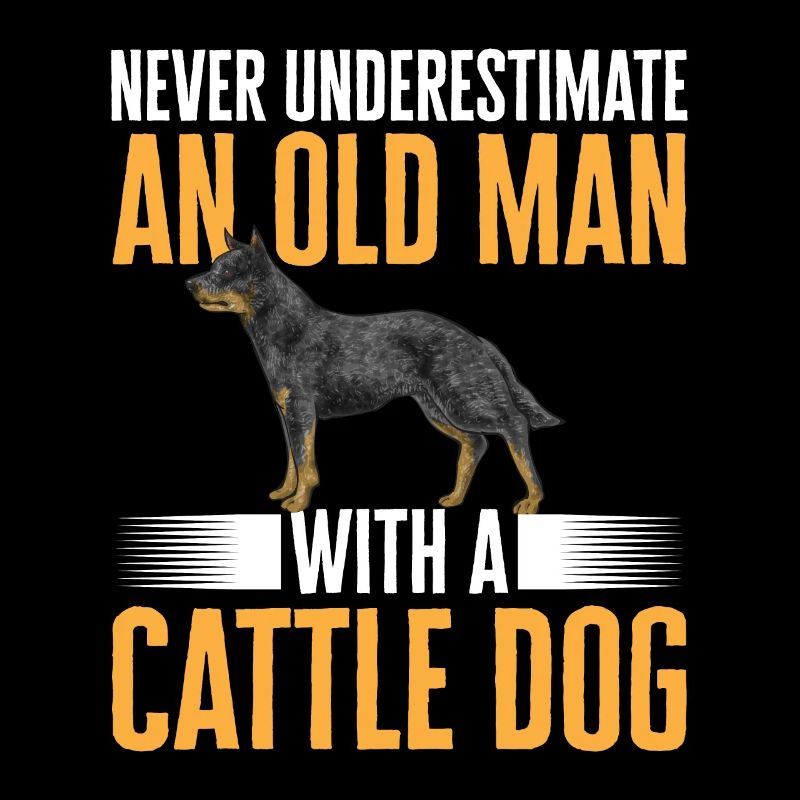 Bouvier australien Red Blue Heeler