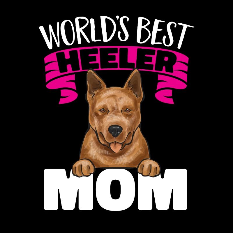 Bouvier australien Red Blue Heeler