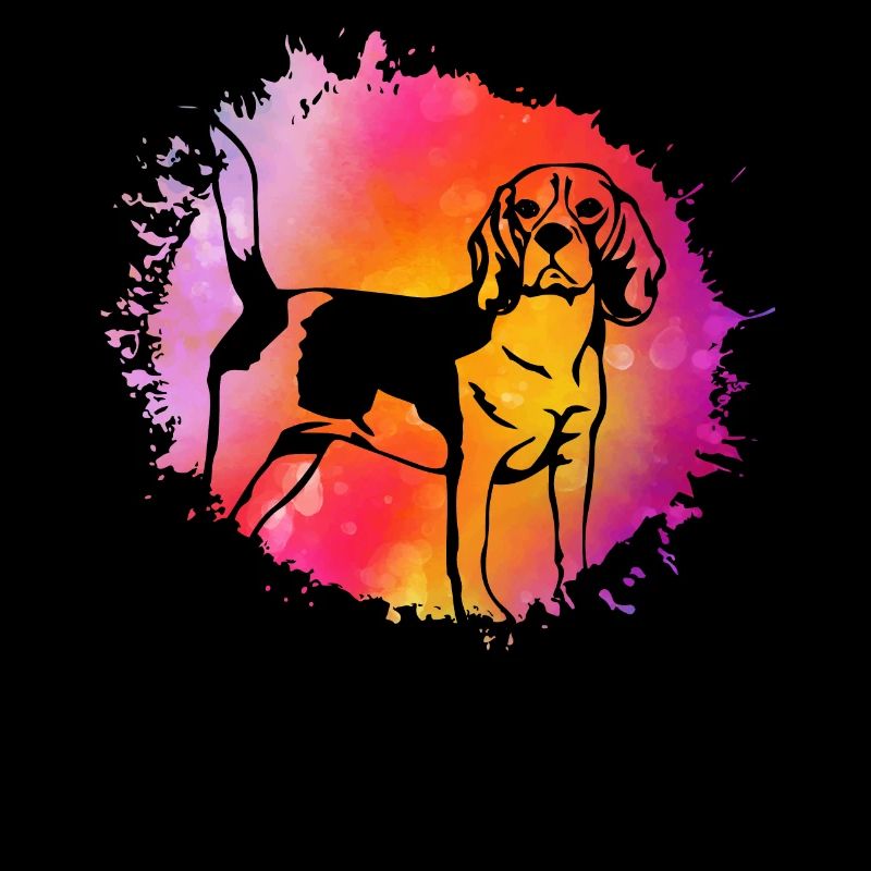 Beagle Hund