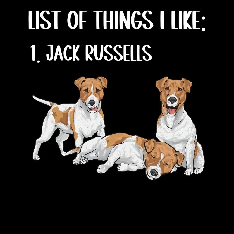 Jack Russell Terrier