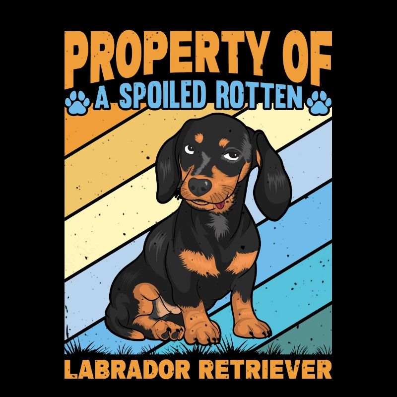 Propriété d’un Labrador Retriever pourri gâté