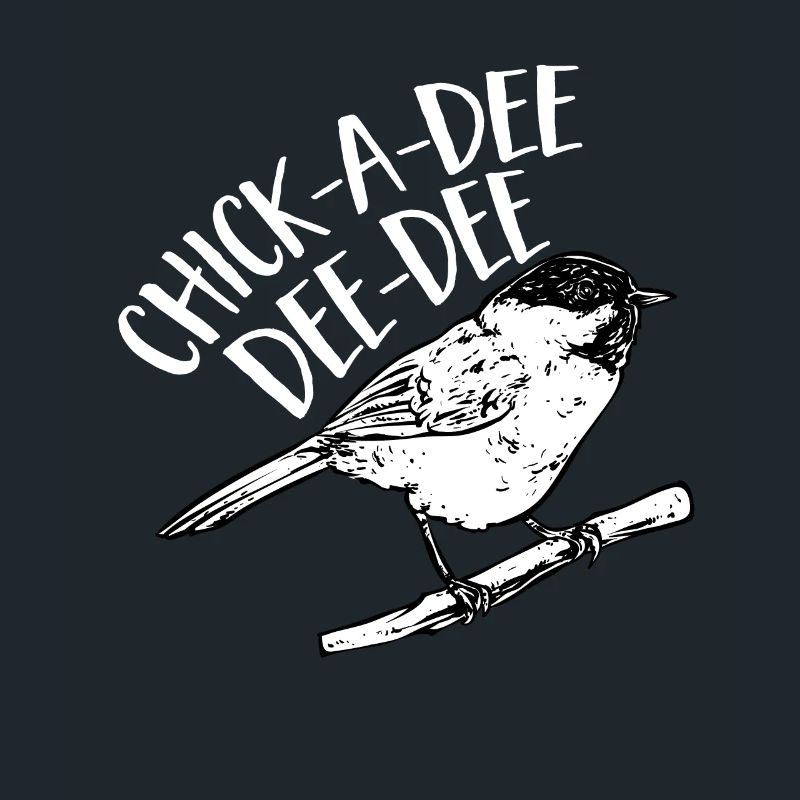 Bird Chickadee Bird Watching