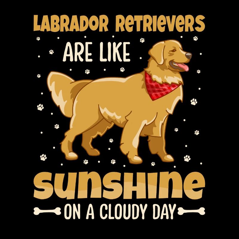 Labrador Retrievers are like sunshine on a cloudy