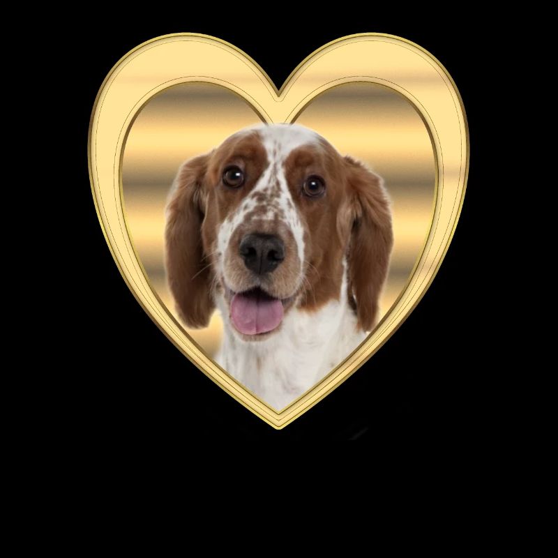Springer Spaniel - Hundeliebhaber - Hunde Herz