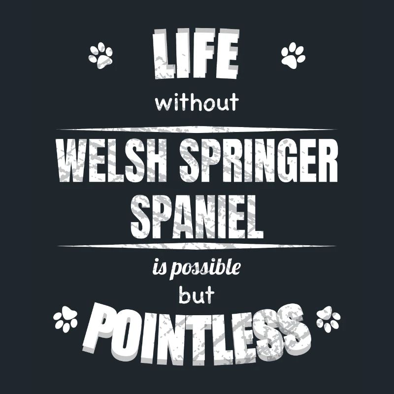 Life possible pointless - Welsh Springer Spaniel